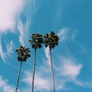 Meet your Posher, Alexander